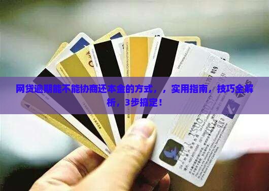 网贷逾期能不能协商还本金的方式