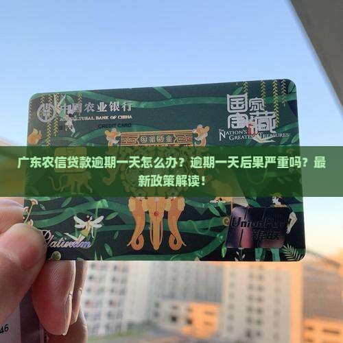 广东农信贷款逾期一天怎么办