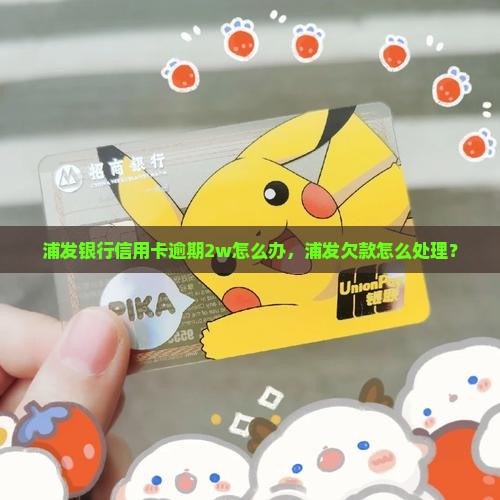 浦发银行欠款2w该怎么办