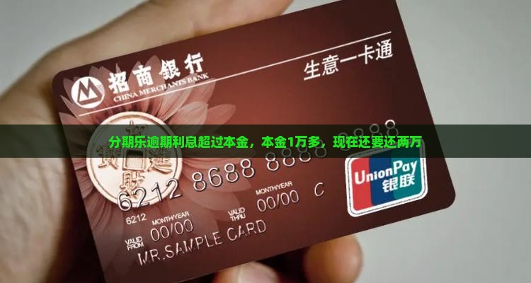 分期乐逾期利息超过本金