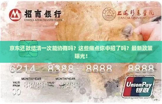 京东还款结清一次能协商吗