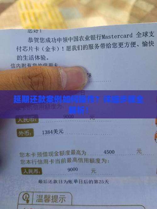 微粒贷延期还款案例如何操作