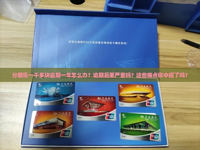 分期乐一千多块逾期一年怎么办