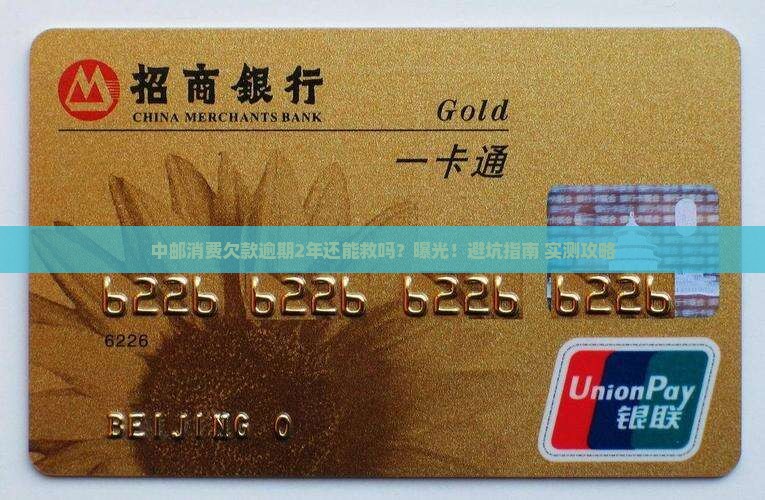 中邮消费欠款逾期2年怎么处理