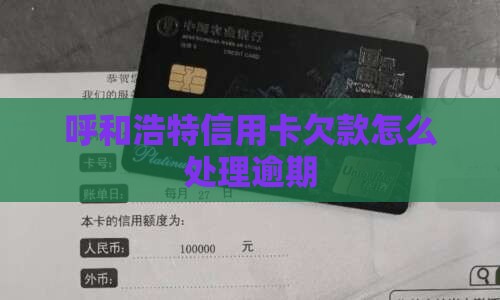 呼和浩特信用卡欠款如何处理