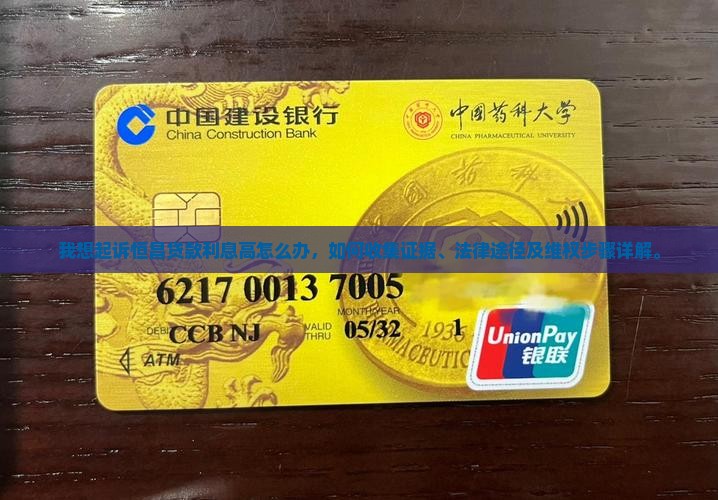 我想起诉恒昌贷款利息高怎么办
