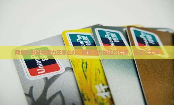 网贷欠款没有能力还怎么办