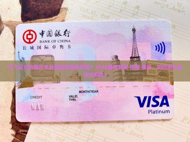 达飞云贷协商还本金怎么还需要哪些步骤