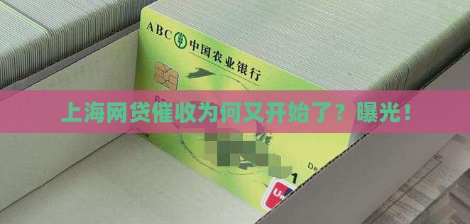 上海网贷催收为何又开始了