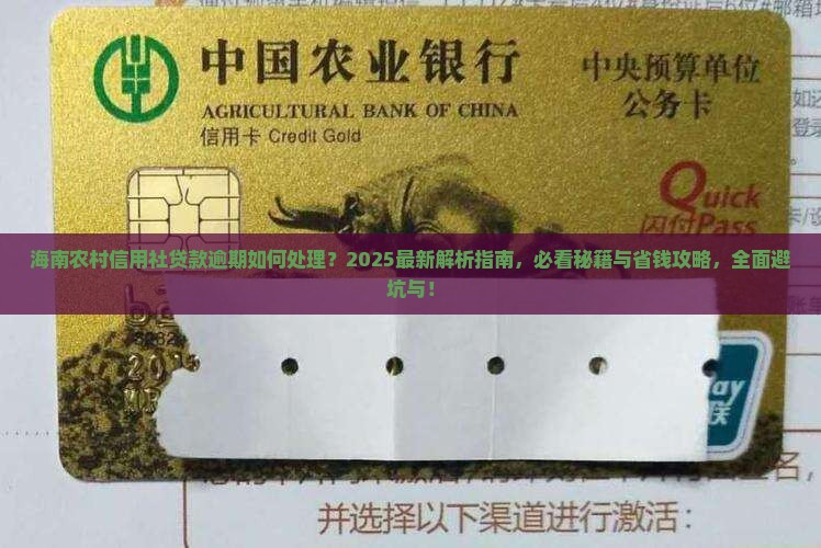 海南农村信用社贷款逾期应该如何处理