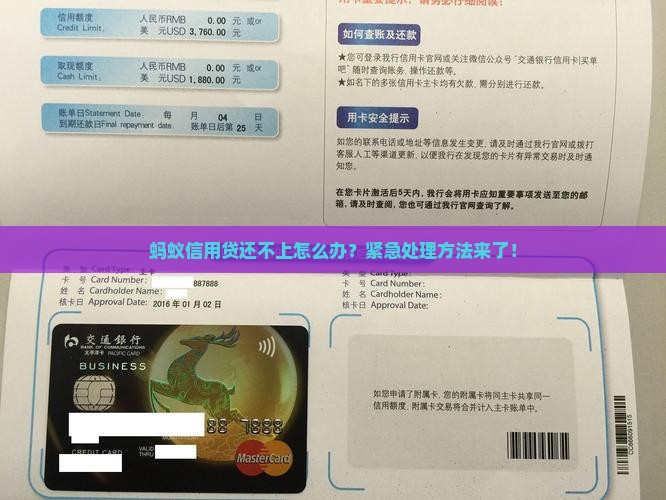 蚂蚁信用贷还不上怎么办