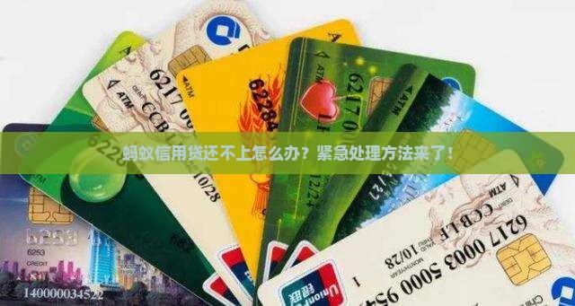 蚂蚁信用贷还不上怎么办