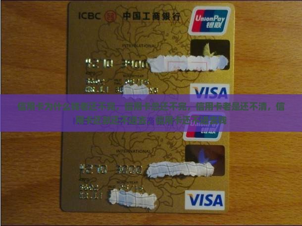 信用卡为什么钱老还不完