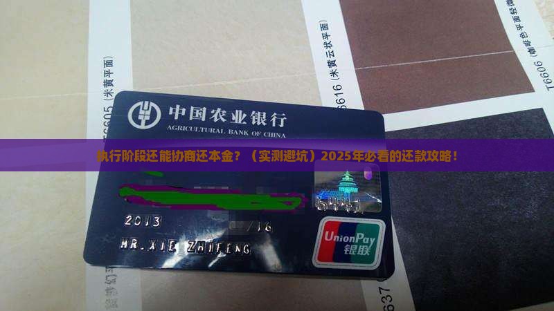 执行阶段可以协商还款还本金吗