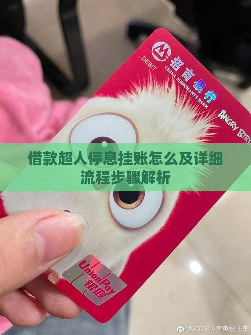 借款超人停息挂账怎么及详细流程步骤解析