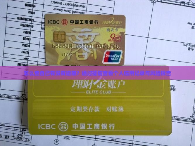 怎么查自己有没有逾期？通过征信查看个人信用记录与风险报告