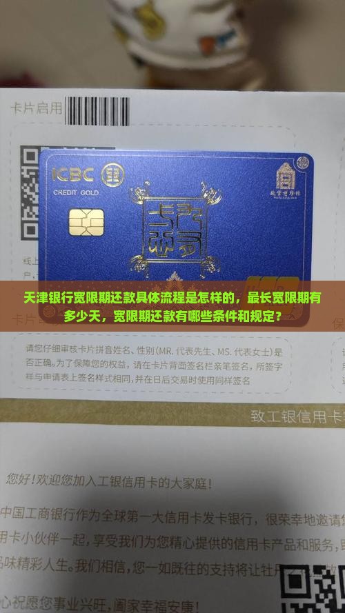 天津银行宽限期还款具体流程是怎样的，最长宽限期有多少天，宽限期还款有哪些条件和规定？