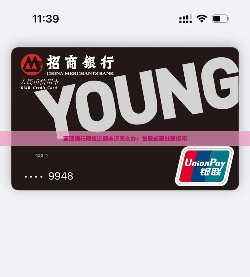 蓝海银行网贷逾期未还怎么办：贷款逾期处理指南