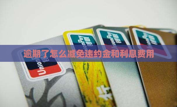 逾期了怎么减免违约金和利息费用