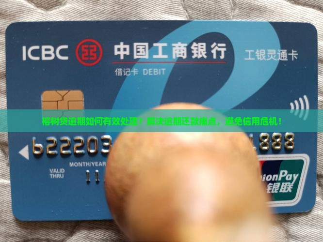 榕树贷逾期如何有效处理？解决逾期还款痛点，避免信用危机！