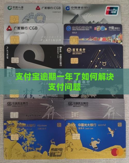 支付宝逾期一年了如何解决支付问题