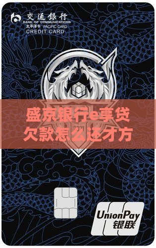 盛京银行e享贷欠款怎么还才方便相关解答