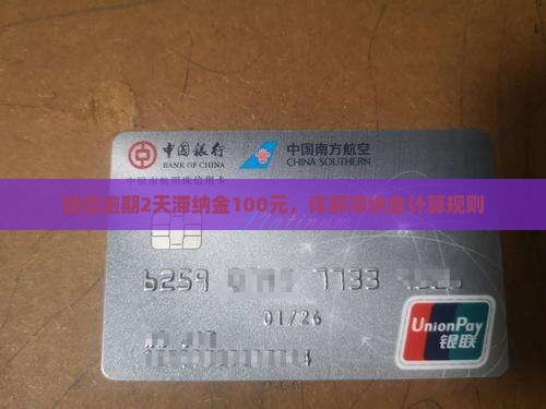 捷信逾期2天滞纳金100元，详解滞纳金计算规则