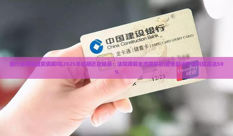 银行逾期能庭前调解吗
