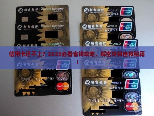 欠信用卡又没能力还怎么办