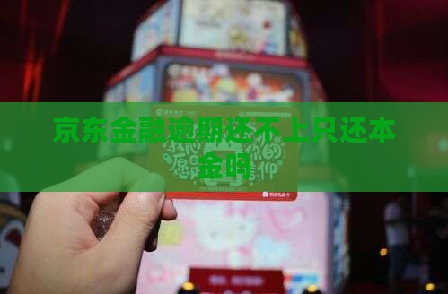 京东金融逾期还不上只还本金吗