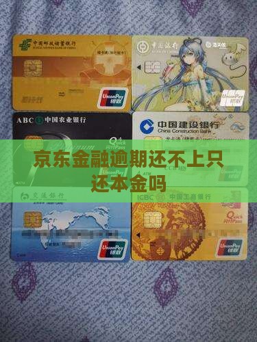 京东金融逾期还不上只还本金吗