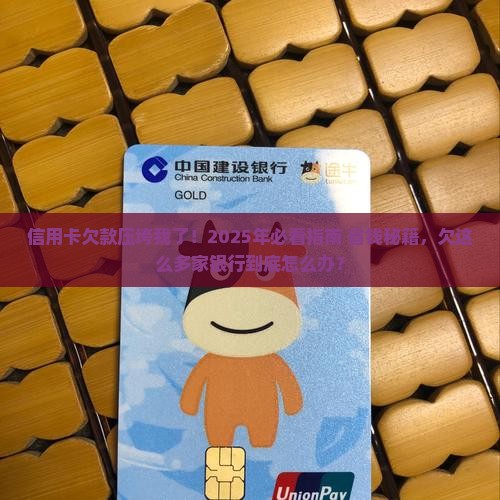 欠很多家银行信用卡如何解决