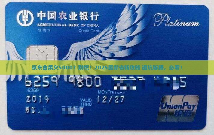 京东金条欠款5000如何处理
