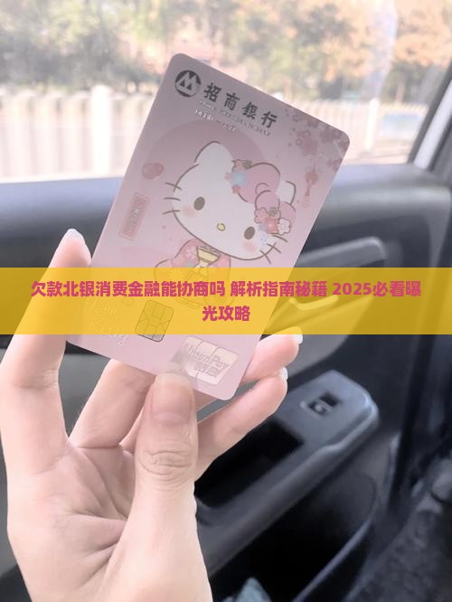 欠款北银消费金融能协商吗