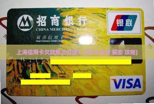 上海信用卡欠款怎么办