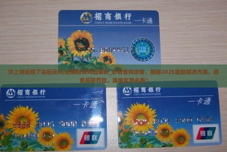 贷上钱逾期了会起诉吗