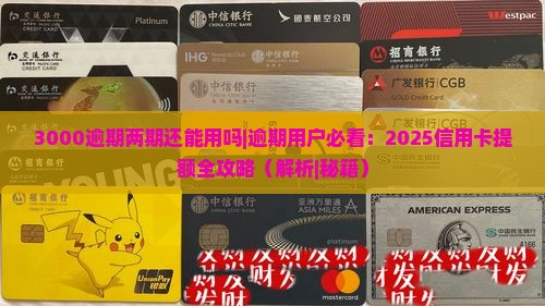 3000逾期两期还能用吗