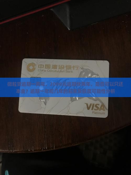 微粒贷逾期一两年