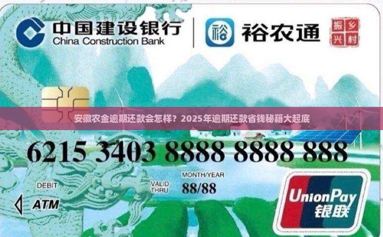 安徽农金逾期还款会怎样