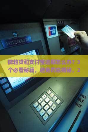 信用卡逾期支付宝逾期应该如何处理