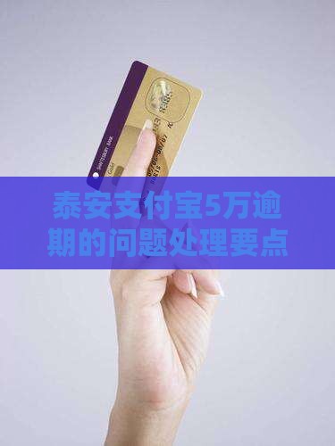 泰安支付宝5万逾期的问题处理要点及条件