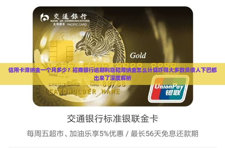 信用卡欠1万滞纳金一个月是多少