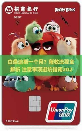 白条逾期一个月催收流程及注意事项