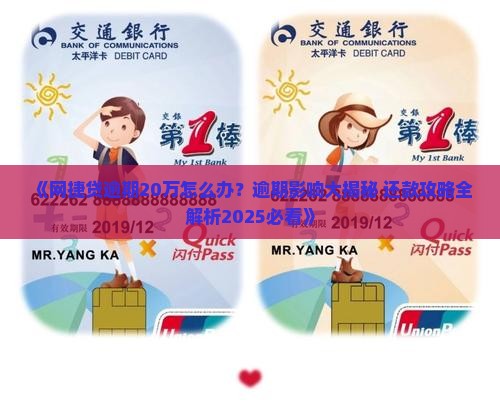 网捷贷逾期20万块钱了怎么办