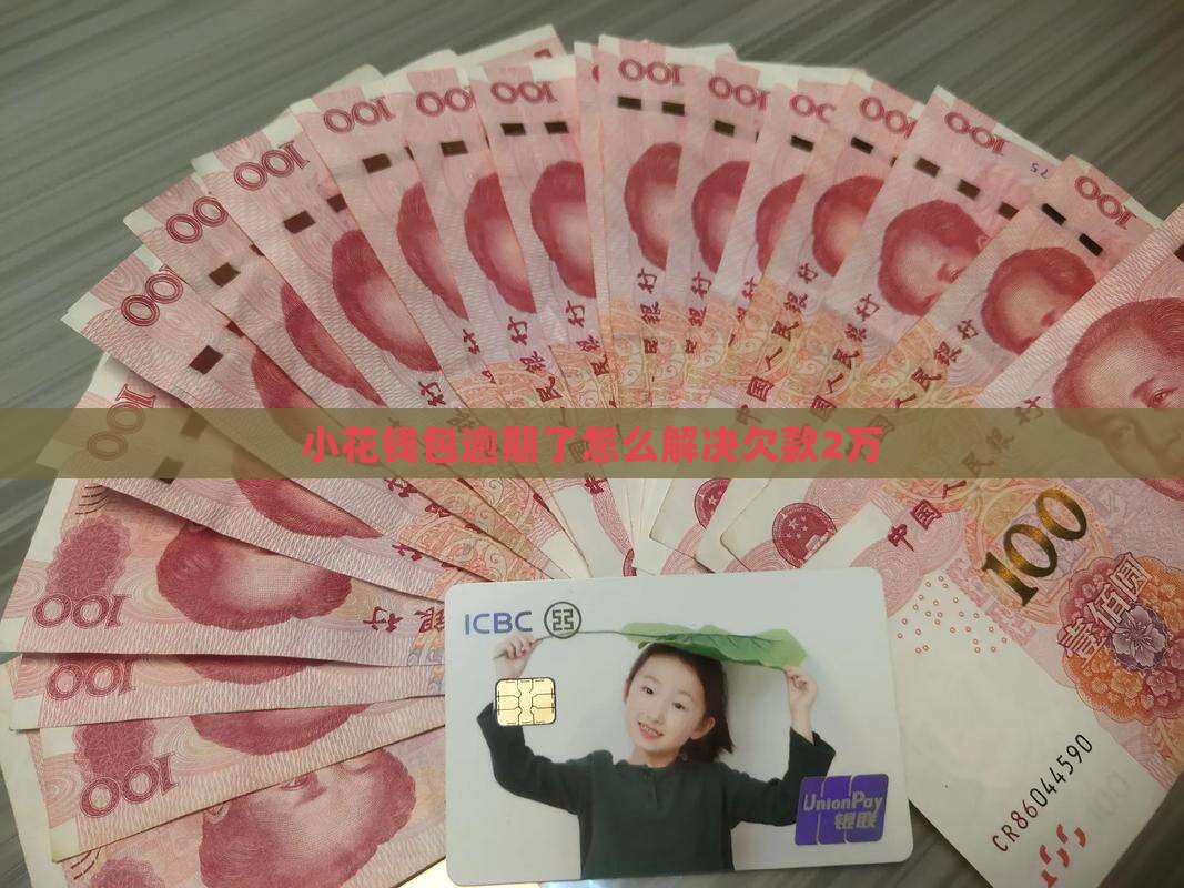 小花钱包欠2万不还怎样解决