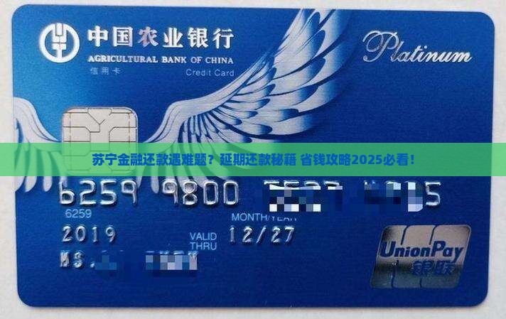 苏宁金融能协商延期还款吗如何申请延期还款 苏宁金融能协商延期还款吗如何申请延期还款