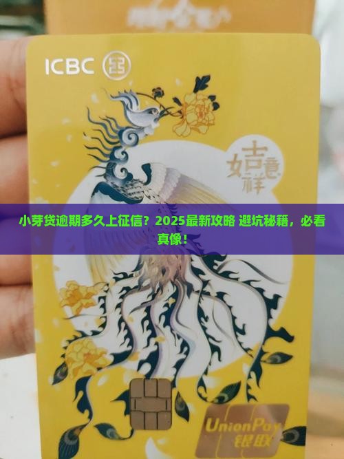 小芽贷逾期多长时间会被上征信