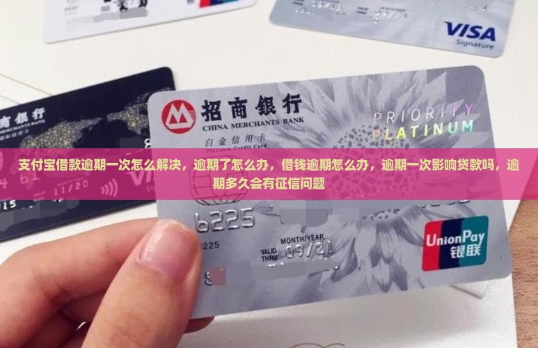 支付宝借款逾期一次怎么解决