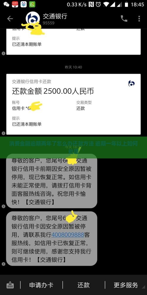 消费金融逾期两年了怎么办还款方法