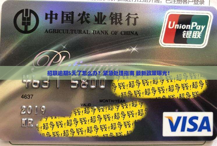 招联逾期5天了怎么办